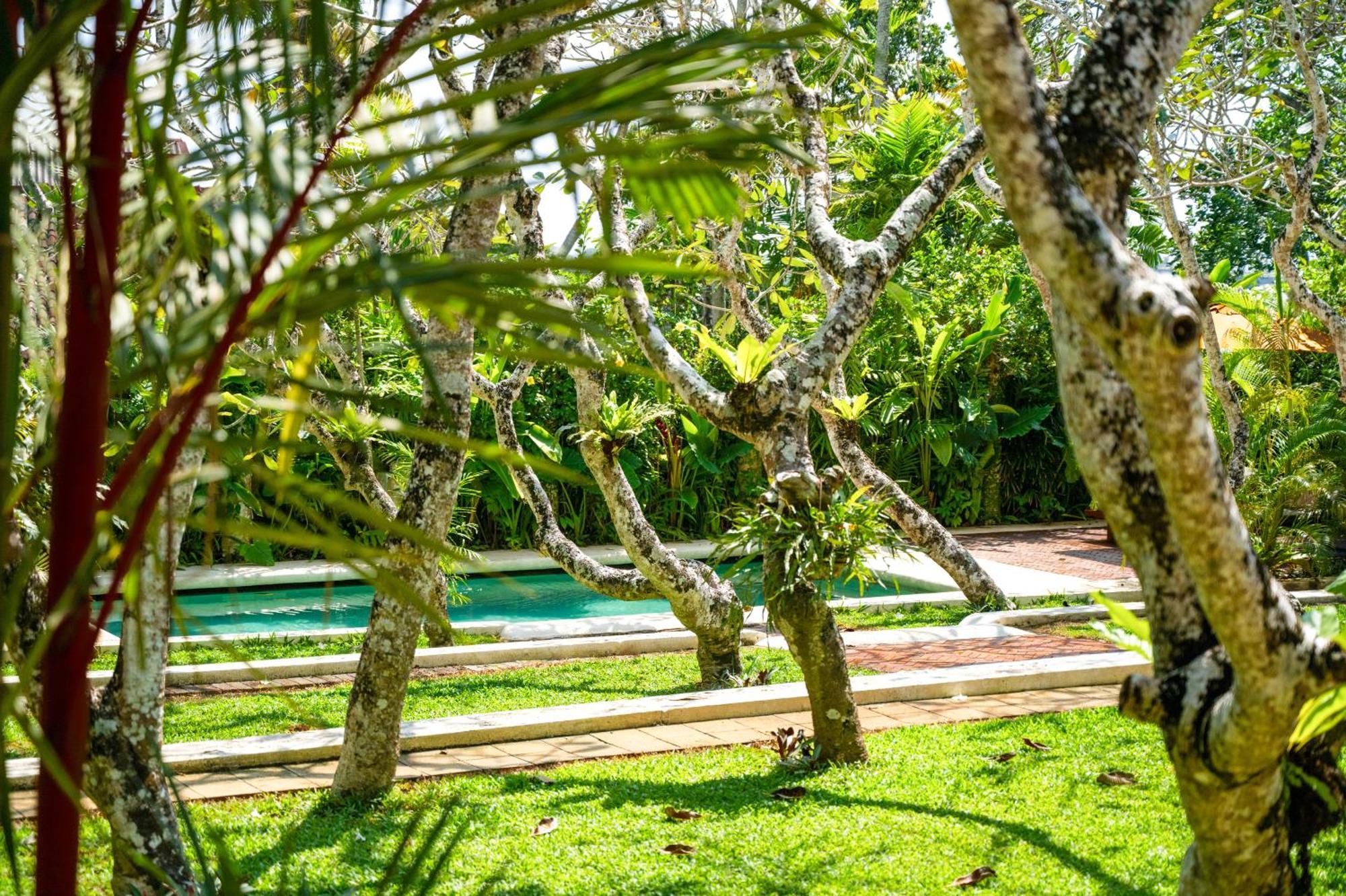 The Sun House Hotel กอลล์ ภายนอก รูปภาพ